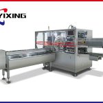 Horizontal Premade Flat Bottom Pouch Packing Machine TDJ-200