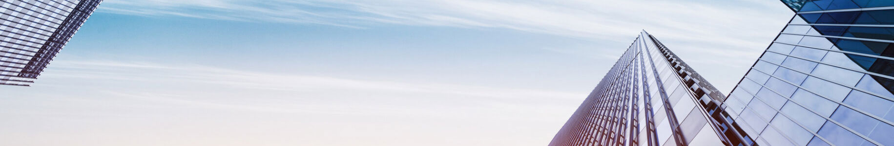 Company Banner