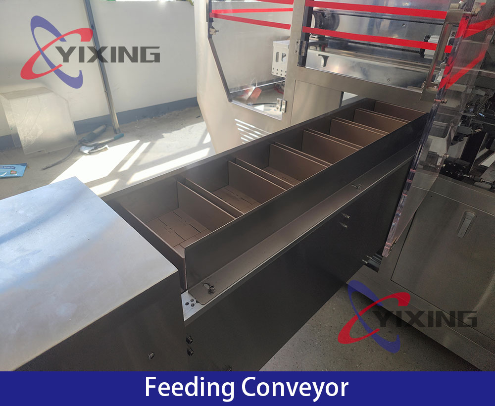 Horizontal Premade Flat Bottom Pouch Packing Machine TDJ-200 Feeding Conveyor